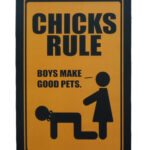 Metalen bord Chicks Rule