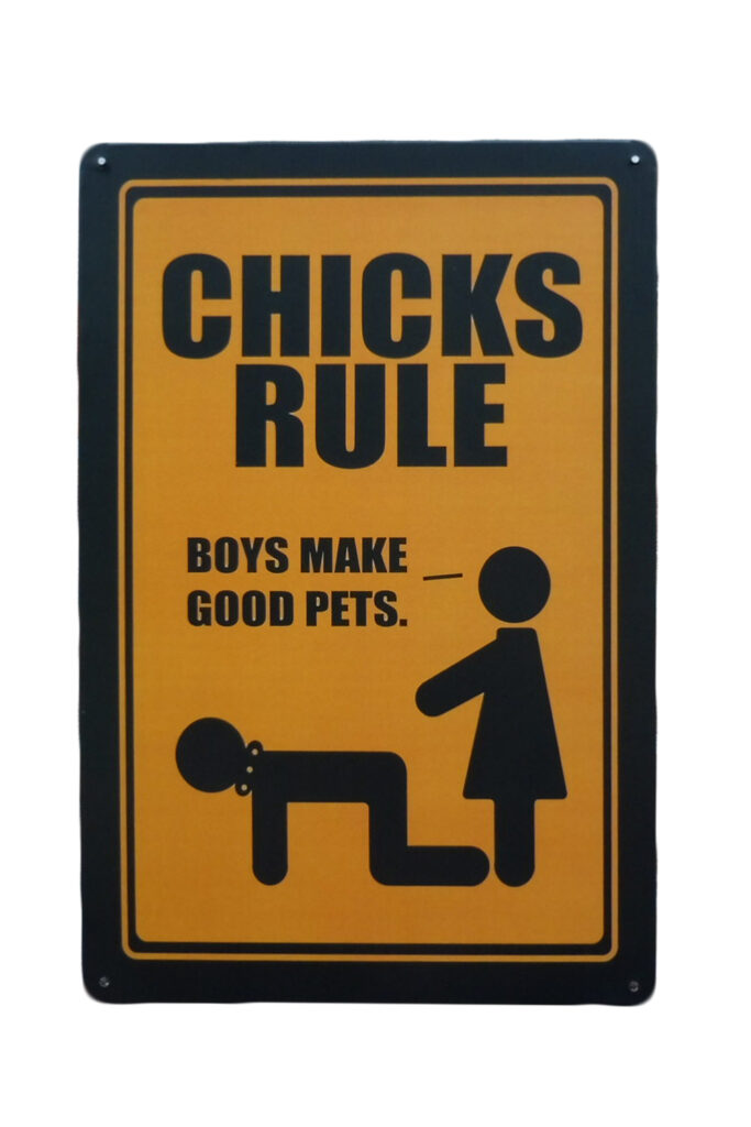 Metalen bord Chicks Rule