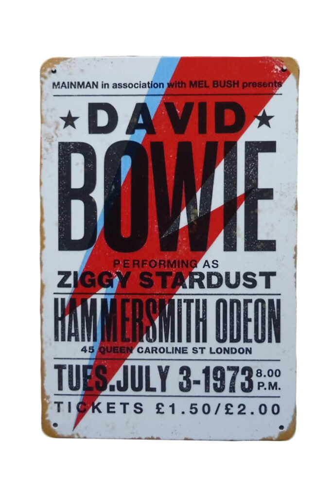 Metalen bord David Bowie