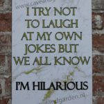 Metalen bord I`m hilarious — foto 2