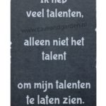 Metalen bord Talenten — foto 1
