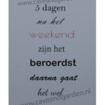 Metalen bord De eerste 5 dagen