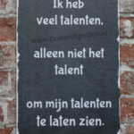Metalen bord Talenten — foto 2