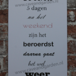 Metalen bord De eerste 5 dagen — foto 2