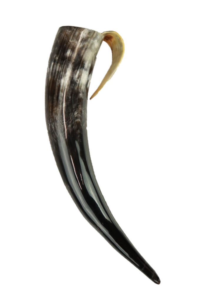 Viking Drinkhoorn Met Handvat