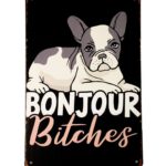 Metalen bord Bonjour Bitches