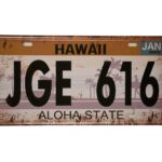 Metalen bord Hawaii — foto 1