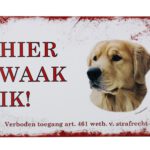 Metalen bord Golden retriever — foto 1