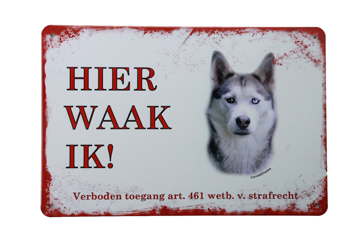 Metalen bord Siberische Husky