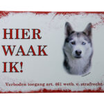 Metalen bord Siberische Husky — foto 1