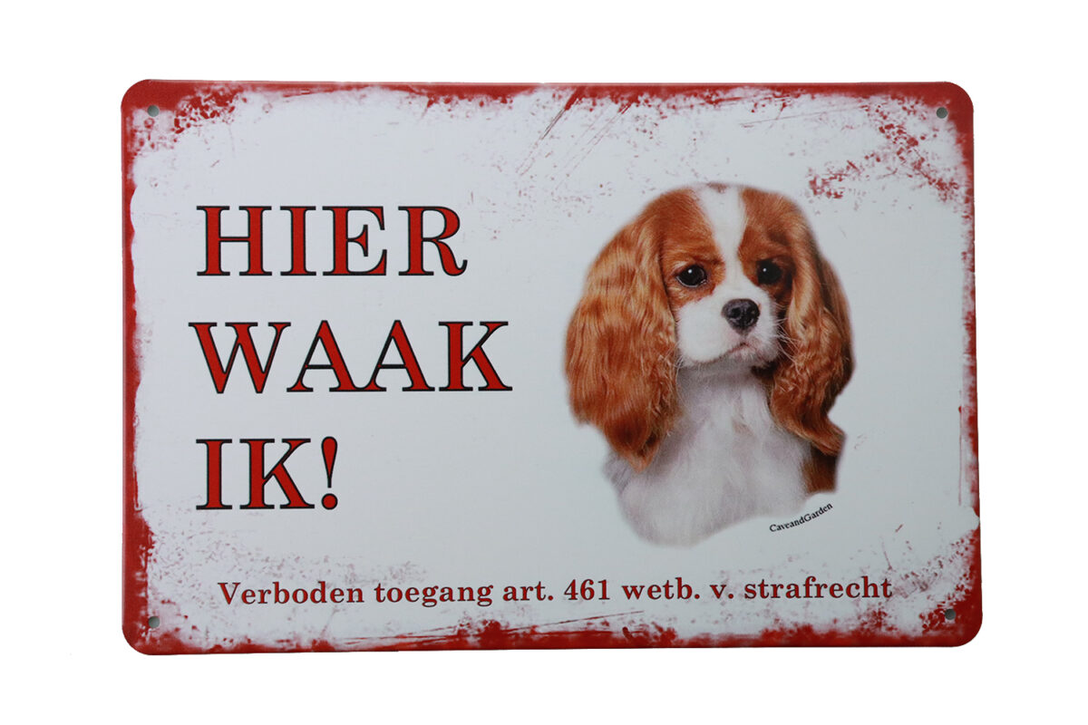 Metalen bord King Charles spaniel