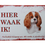 Metalen bord King Charles spaniel