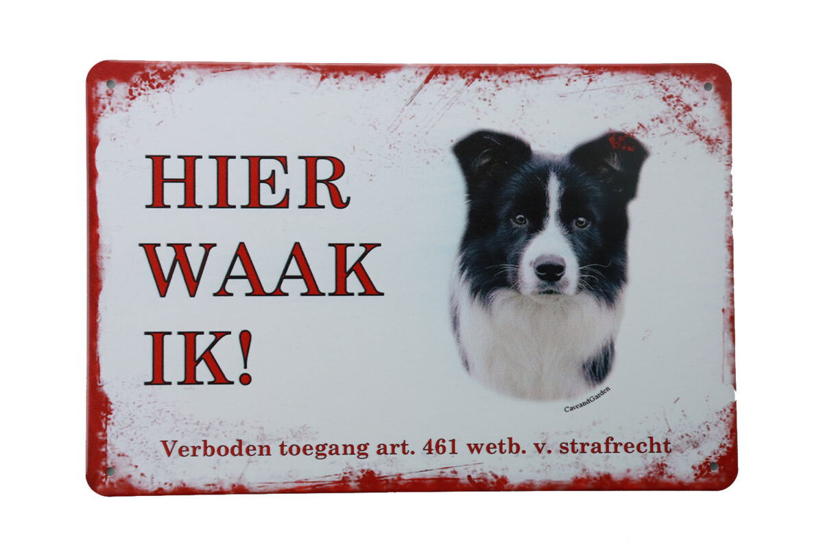 Metalen bord Border collie