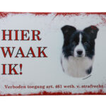 Metalen bord Border collie — foto 1