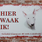 Metalen bord Bulls terrier — foto 2