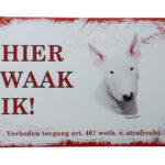Metalen bord Bulls terrier