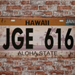 Metalen bord Hawaii — foto 2