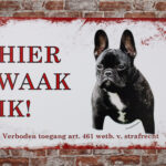 Metalen bord Franse bulldog — foto 2