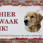 Metalen bord Golden retriever — foto 2