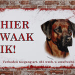 Metalen bord Rhodesian Ridgeback — foto 2