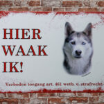 Metalen bord Siberische Husky — foto 2