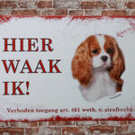 Metalen bord King Charles spaniel — foto 2