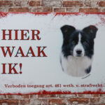 Metalen bord Border collie — foto 2