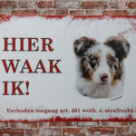 Metalen bord Australische herder — foto 2
