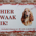 Metalen bord Engelse cocker spaniel — foto 2