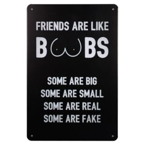 Metalen bord Friends en Boobs