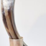 Viking Drinkhoorn met stand