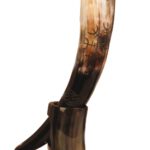 Viking Hoorn Wendhorn + Stand