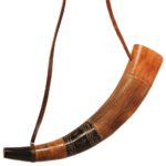 Viking Wendhorn met handvat