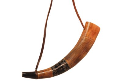 Viking Wendhorn met handvat