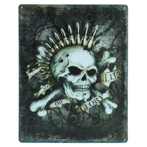 Skull glory metalen bord 30 x