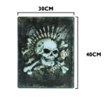 Skull glory metalen bord 30 x — foto 2
