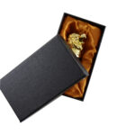 Leeuwen schenker goud + cadeau verpakking — foto 3